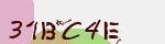 Mã bảo mật
